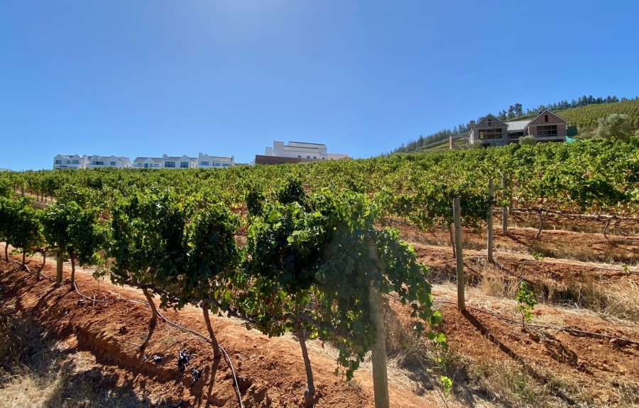 4 Bedroom Property for Sale in Weltevreden Hills Estate Western Cape